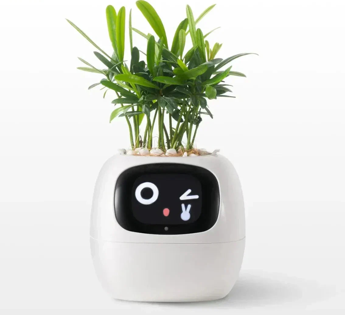 Smart Automatic Watering Pot With Moisture Sensors