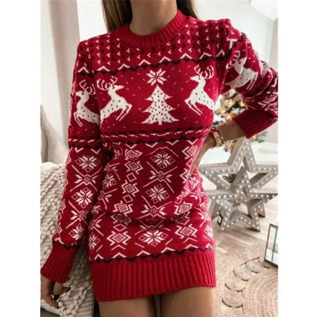 Cozy Women's Holiday Knit Dress