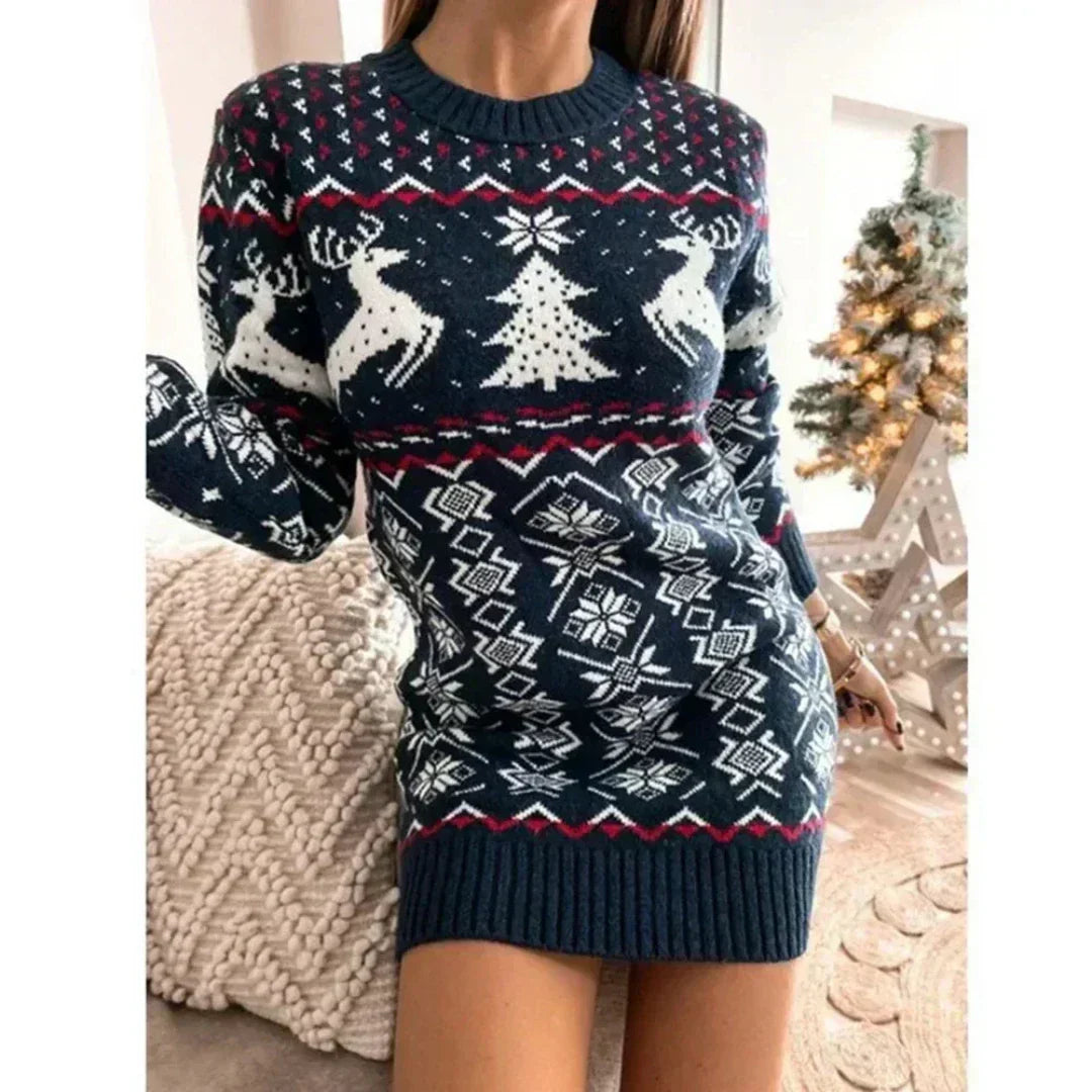 Cozy Women's Holiday Knit Dress