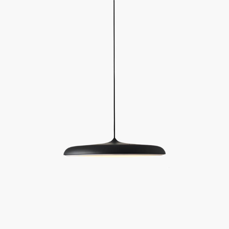 Contemporary Pendant LED Ceiling Light Fixture