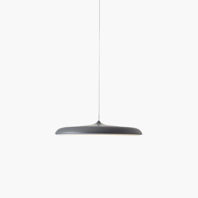 Contemporary Pendant LED Ceiling Light Fixture