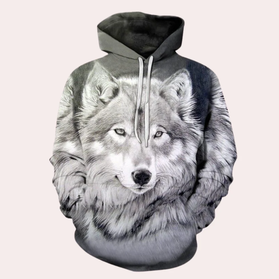 Fashionable Mens Emilio Pullover Hoodie