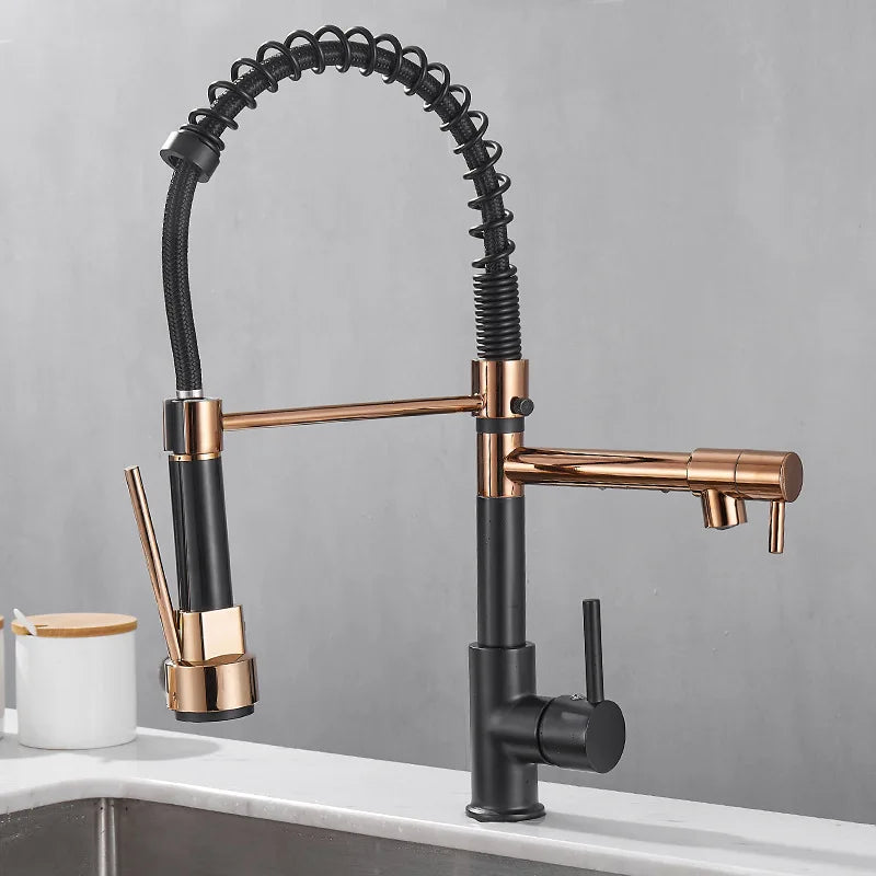 Elegant 2 Handle Kitchen Faucet In Black And Gold