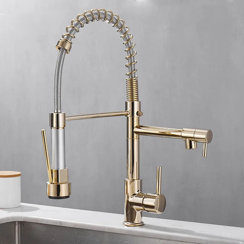 Elegant 2 Handle Kitchen Faucet In Black And Gold - OutfitLondon