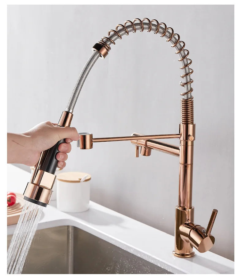 Elegant 2 Handle Kitchen Faucet In Black And Gold