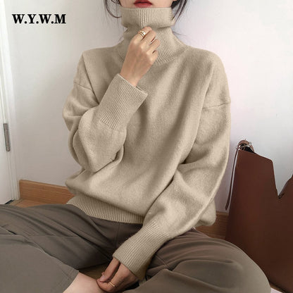Soft Chunky Cold Weather Turtleneck Sweater