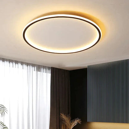Simple 1 Light Ceiling Fixture