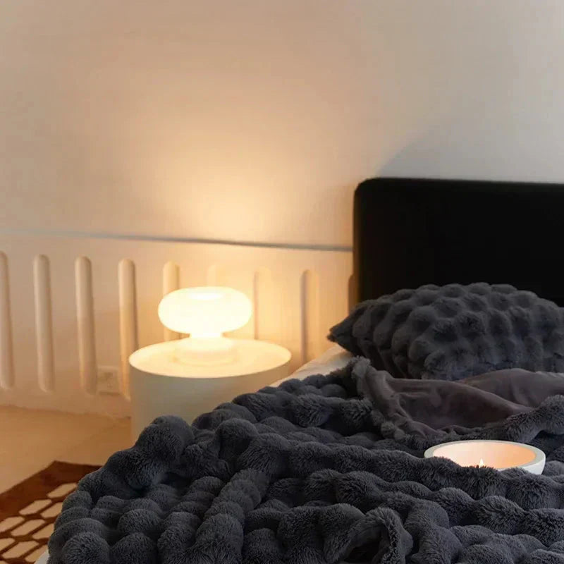 Cozy Fuzzy Teddy Bear Blanket Throw