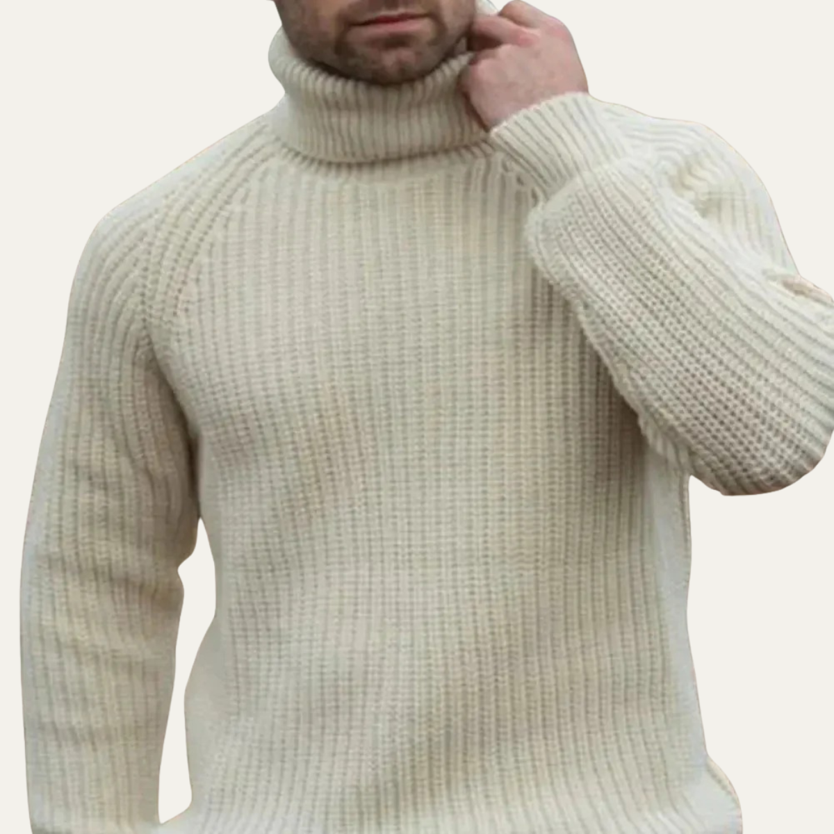 Thick Knit Crew Neck Men's Sweater