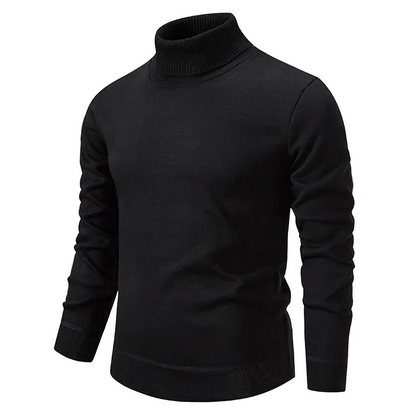Cozy Fit Turtleneck Sweater