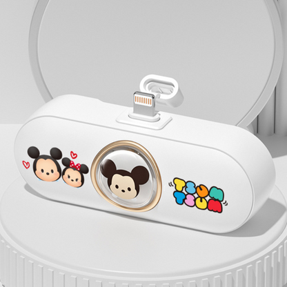 Compact Power Bank Charger