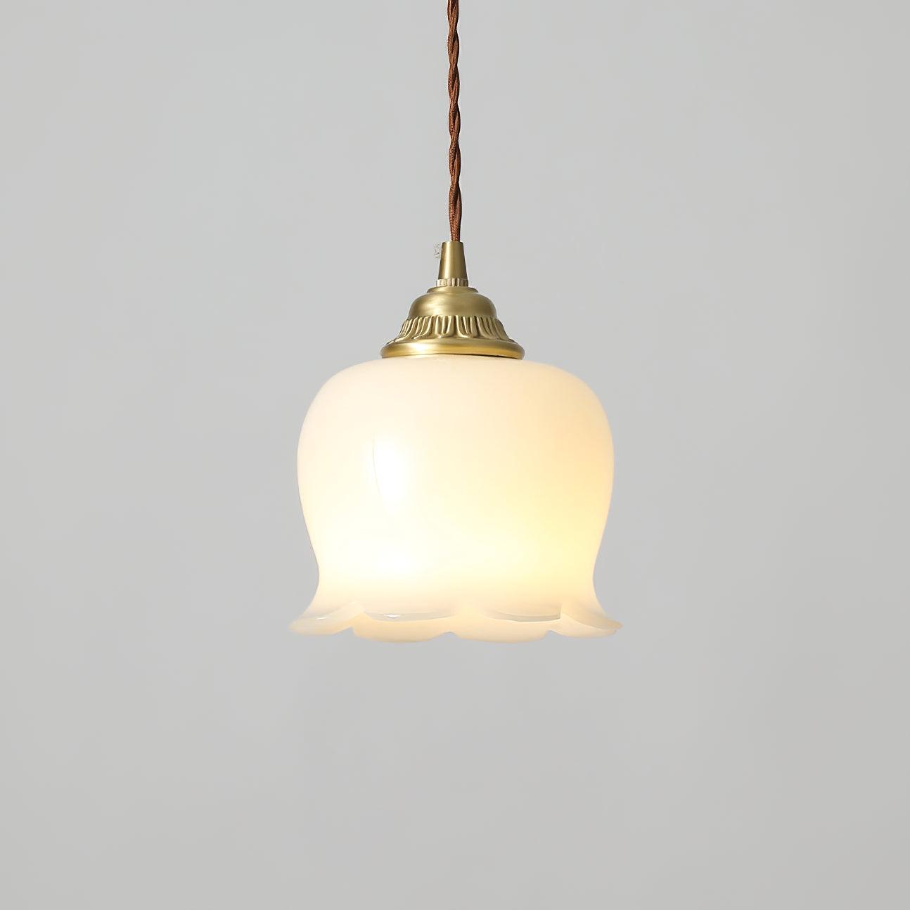 Classic Glass Drop Pendant Light Fixture