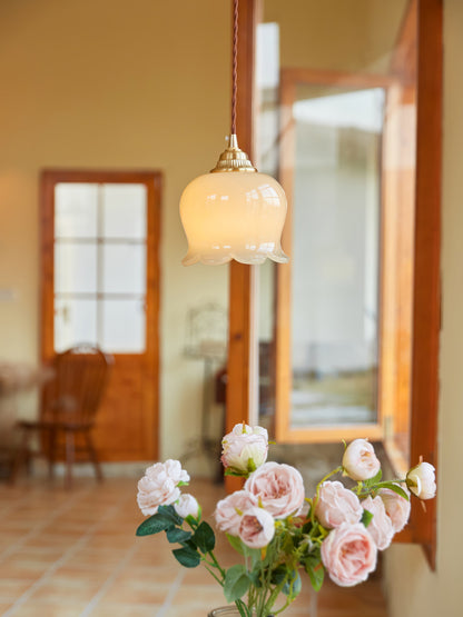 Classic Glass Drop Pendant Light Fixture