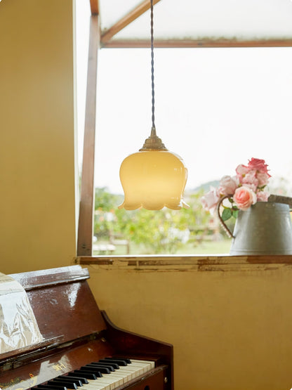 Classic Glass Drop Pendant Light Fixture