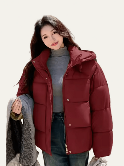Ladies Large Filled Short Puffer Coat