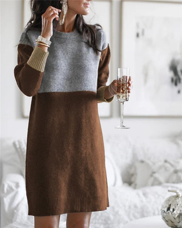 Cozy Long Sleeve Women's Wool Dress
