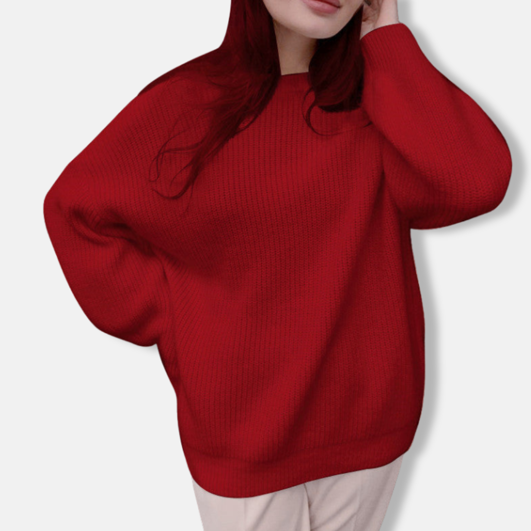 Cozy Women's Long Sleeve Crew Neck Sweater