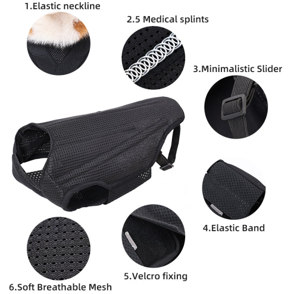 Dog Back Brace Flexible Comfortable Dog Back Protector For Old Dogs Disabled
