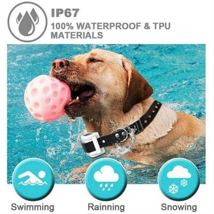 Wireless Electric Dog Fence Pet Containment System