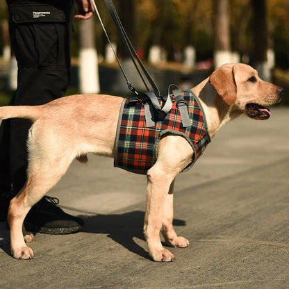 Dog Support Harness Front and Back Legs For Small Medium Large Dogs
