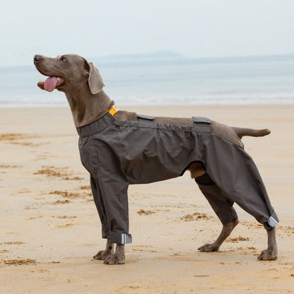 Wrapped Reflective Dog Raincoat With Legs And Hood