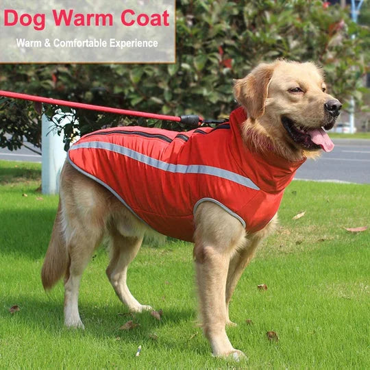 Best Dog Winter Coats - Reflective Warm Snow Jacket