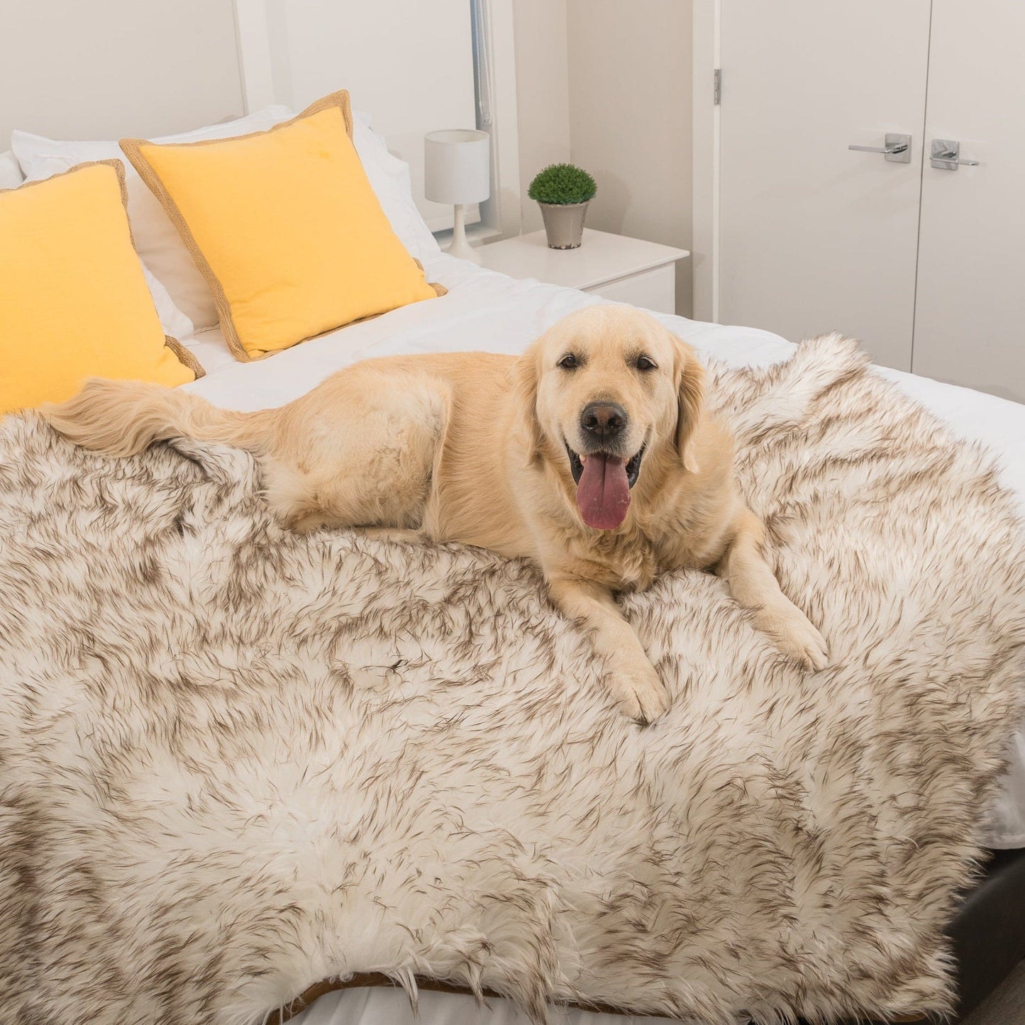 Waterproof Dog Throw Blanket