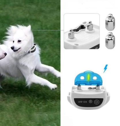 Wireless Dog Fence Receiver Collar