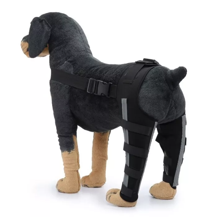 Double Dog Hip Support For Hip Dysplasia For Front or Back Leg Dog Brace