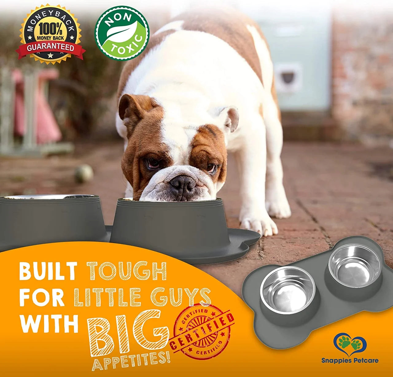 Double Dog Water Food Bowls