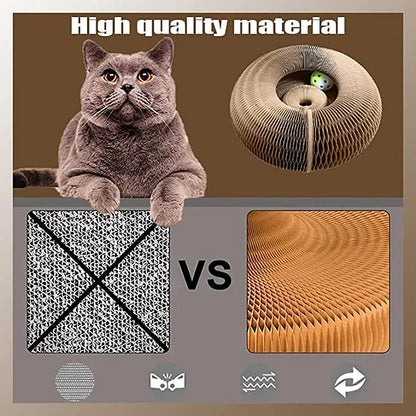 Magic Organ Cat Scratching Board