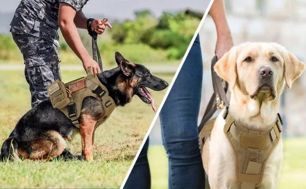 Military No-Pull Tactical Dog Harness Vest