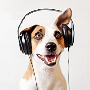 Ultrasonic Anti Barking Device For Dogs