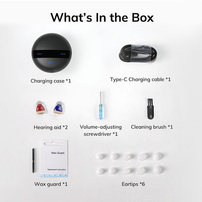 Rechargeable Mini Audifono Hearing aids