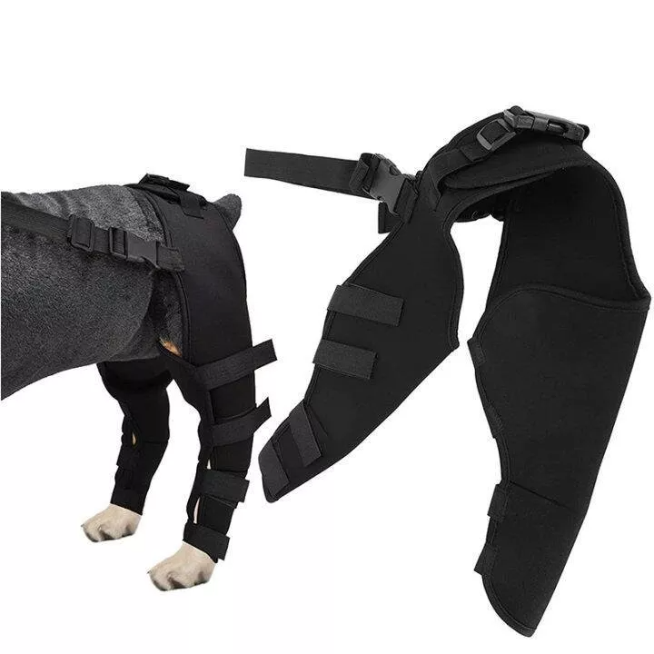 Double Dog Hip Support For Hip Dysplasia For Front or Back Leg Dog Brace