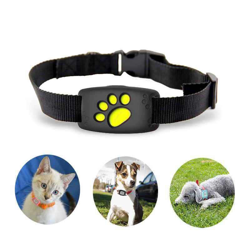 Real Time Pet GPS Tracking Collar - OutfitLondon