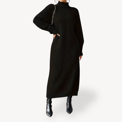 Textured Crew Neck Winter Dress for Ladies