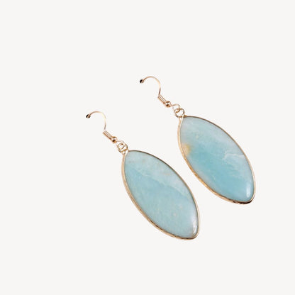 Sparkling Stone Dangle Earrings