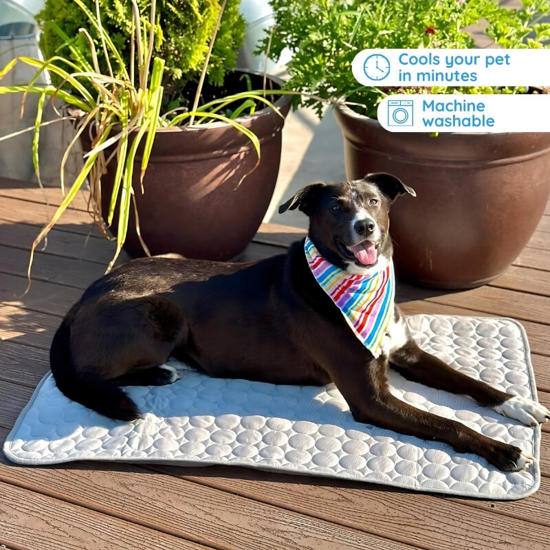 Pet Cooling Mat for Dogs - Portable and Safe