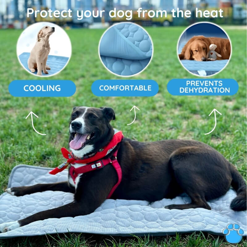 Pet Cooling Mat for Dogs - Portable and Safe
