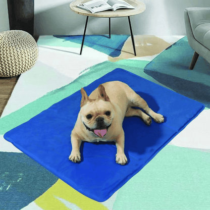 Gel-Filled Dog Cooling Mat | Water-Resistant PVC Pet Pad