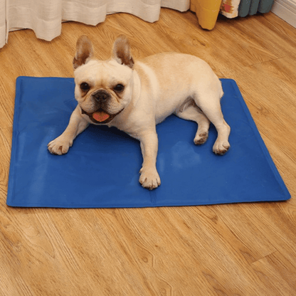 Gel-Filled Dog Cooling Mat | Water-Resistant PVC Pet Pad