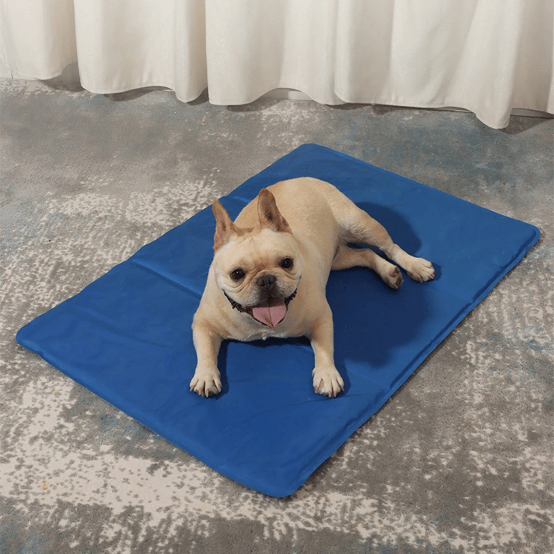 Gel-Filled Dog Cooling Mat | Water-Resistant PVC Pet Pad