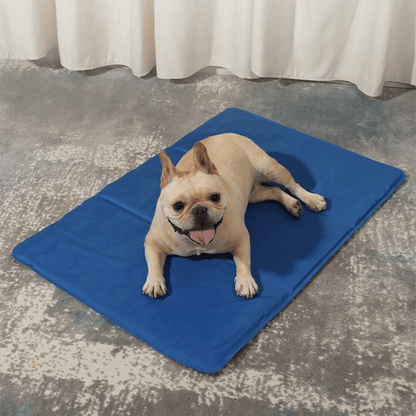 Gel-Filled Dog Cooling Mat | Water-Resistant PVC Pet Pad