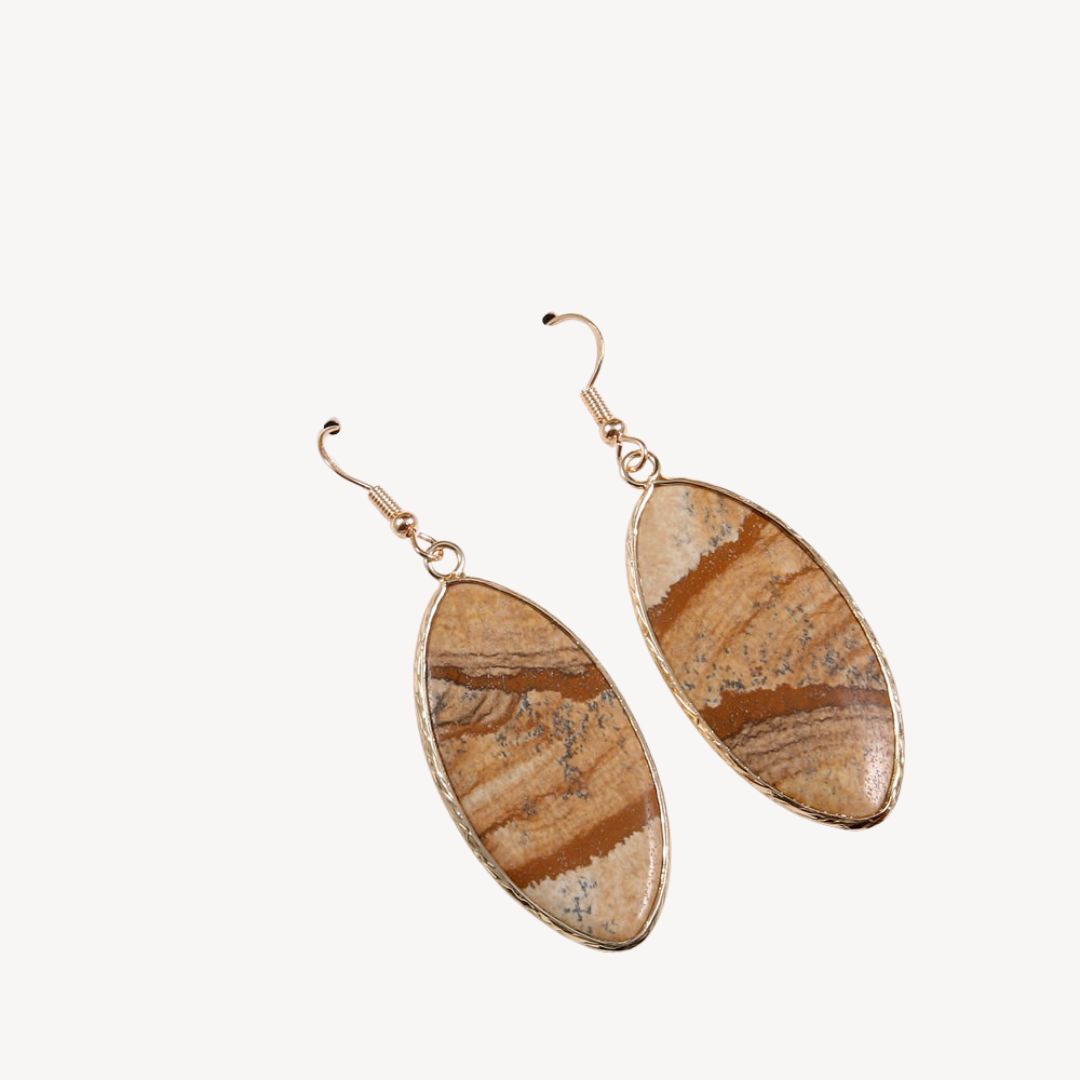 Sparkling Stone Dangle Earrings