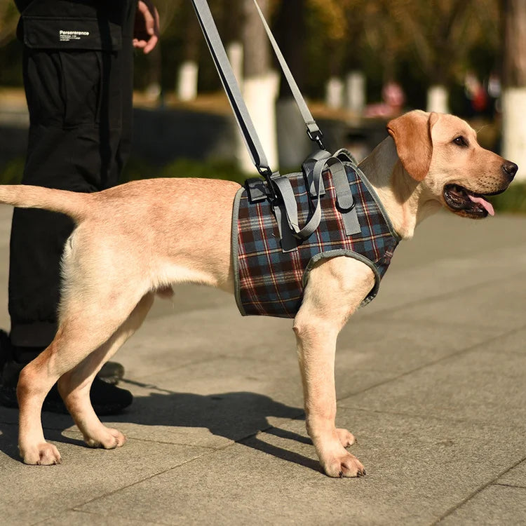 Dog Support Harness Front and Back Legs For Small Medium Large Dogs