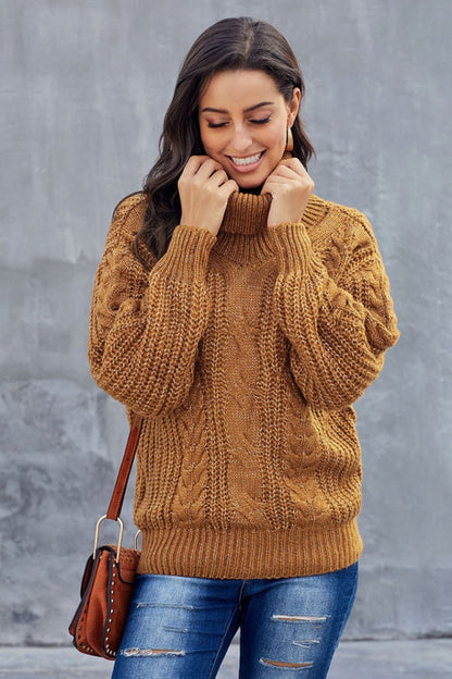 Cozy Braided Turtleneck Sweater for Women