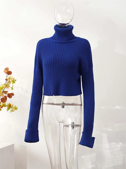 Women's Simple Crew Neck Jumper