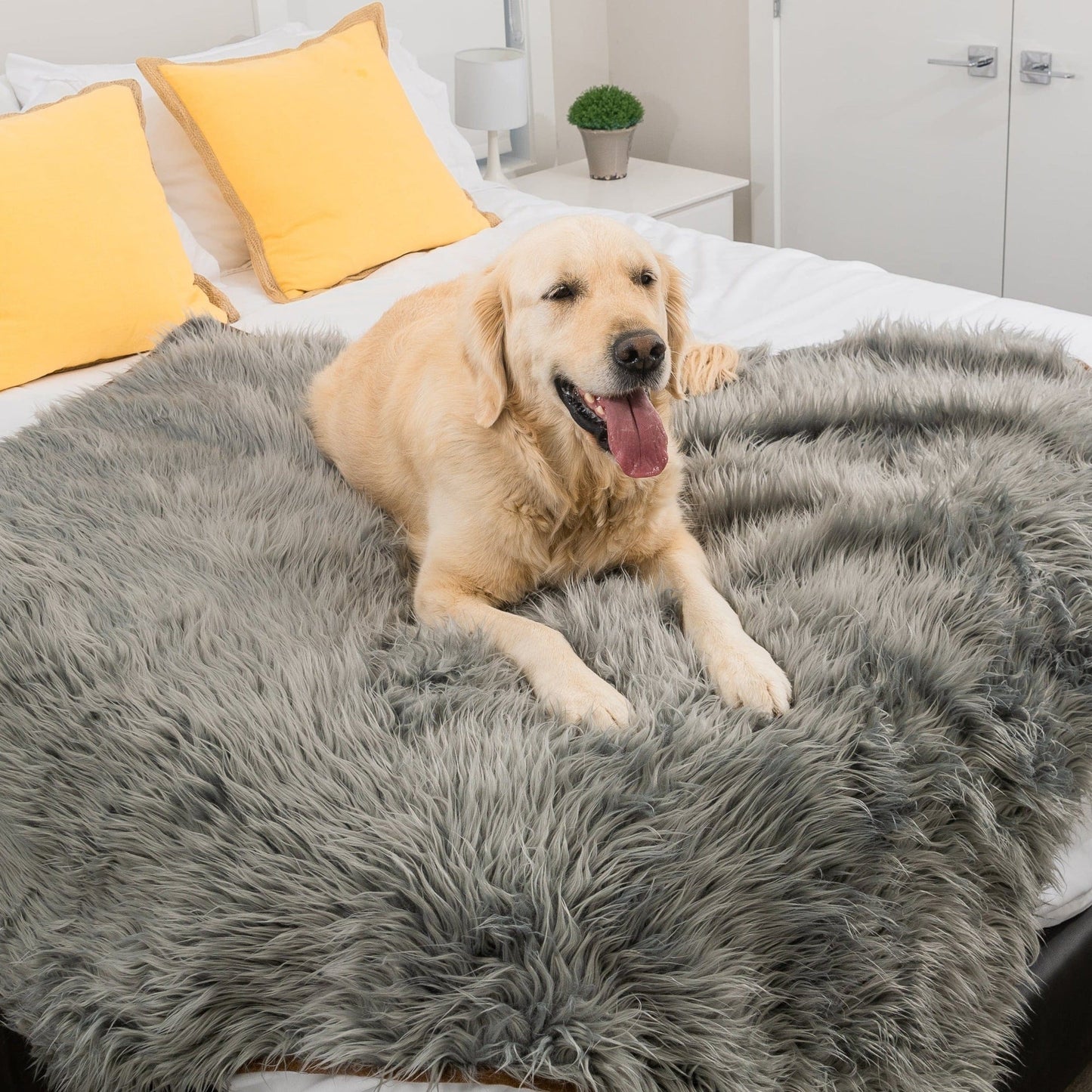 Waterproof Dog Throw Blanket