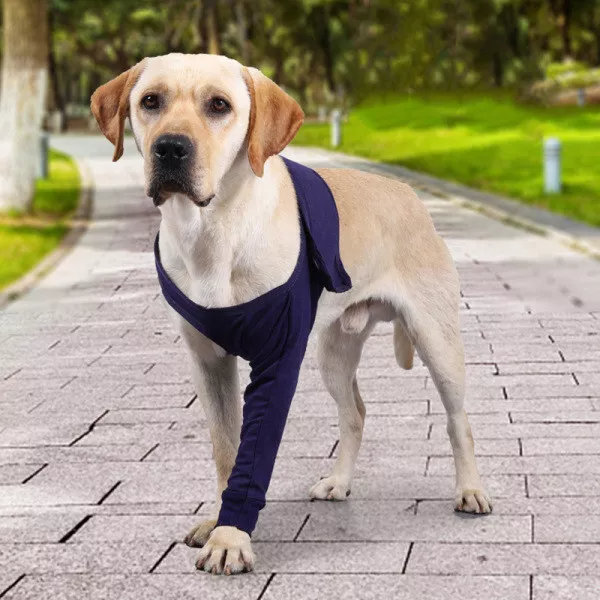 Dog Leg Sleeve for Anti-Licking AntiDirt